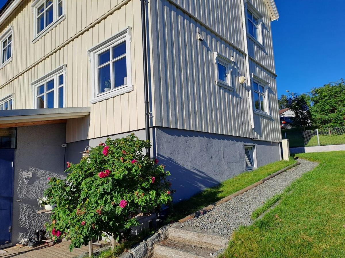 Warm And Cozy Apartment With Panoramic View Above The City Center Тромсьо Екстериор снимка